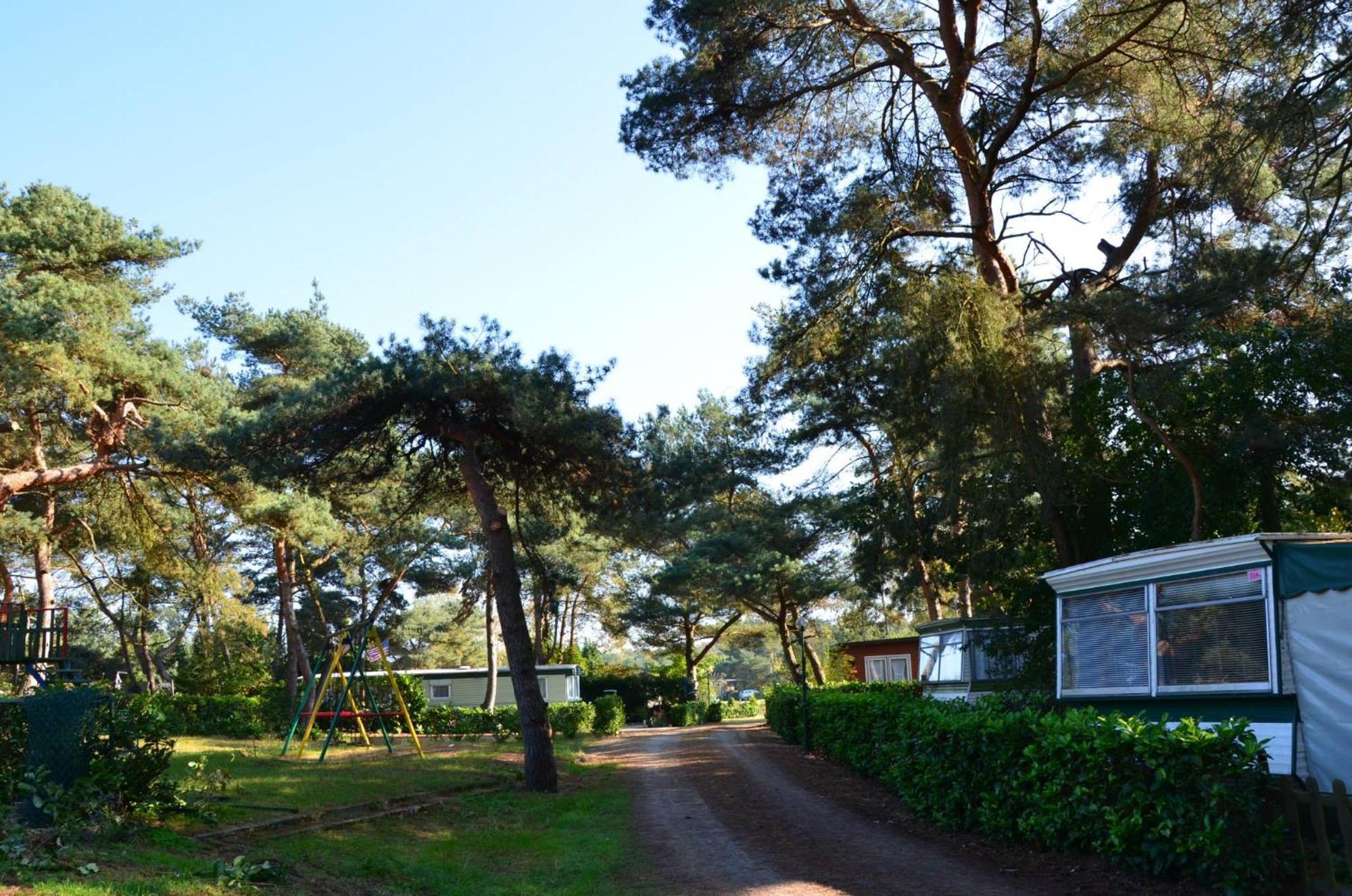 Safaritent At Camping Gt Keiheuvel Balen المظهر الخارجي الصورة